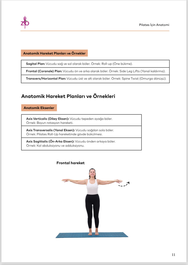 Pilates İçin Anatomi- Bir Hareket Yanlış Öğretilirse Tüm sistem Çöker