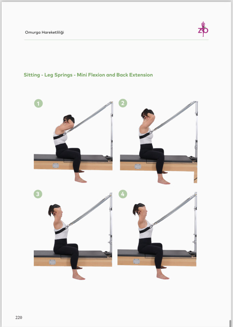 Omurga Hareketliliği ve Pilates Ekipmanlarıyla Eğitim Üzerine Kapsamlı Rehber