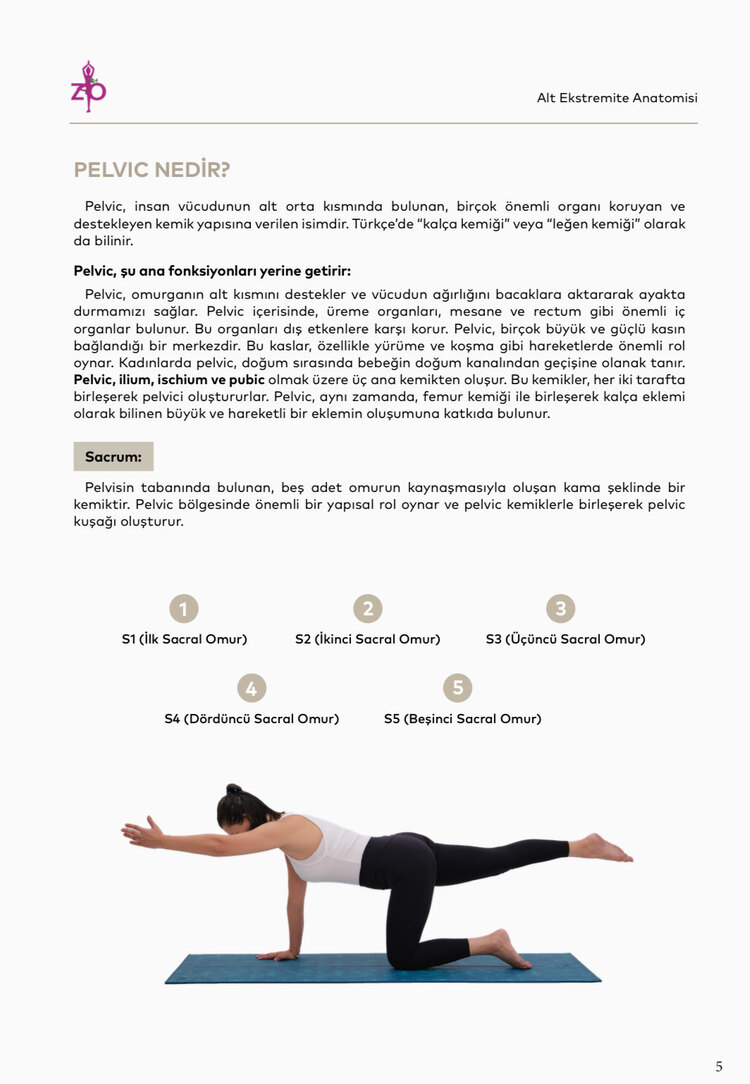 Diz ve Kalça Problemleri için Pilates: Alt Ekstremiteye Odaklanan E-Kitap Eğitim Detayları