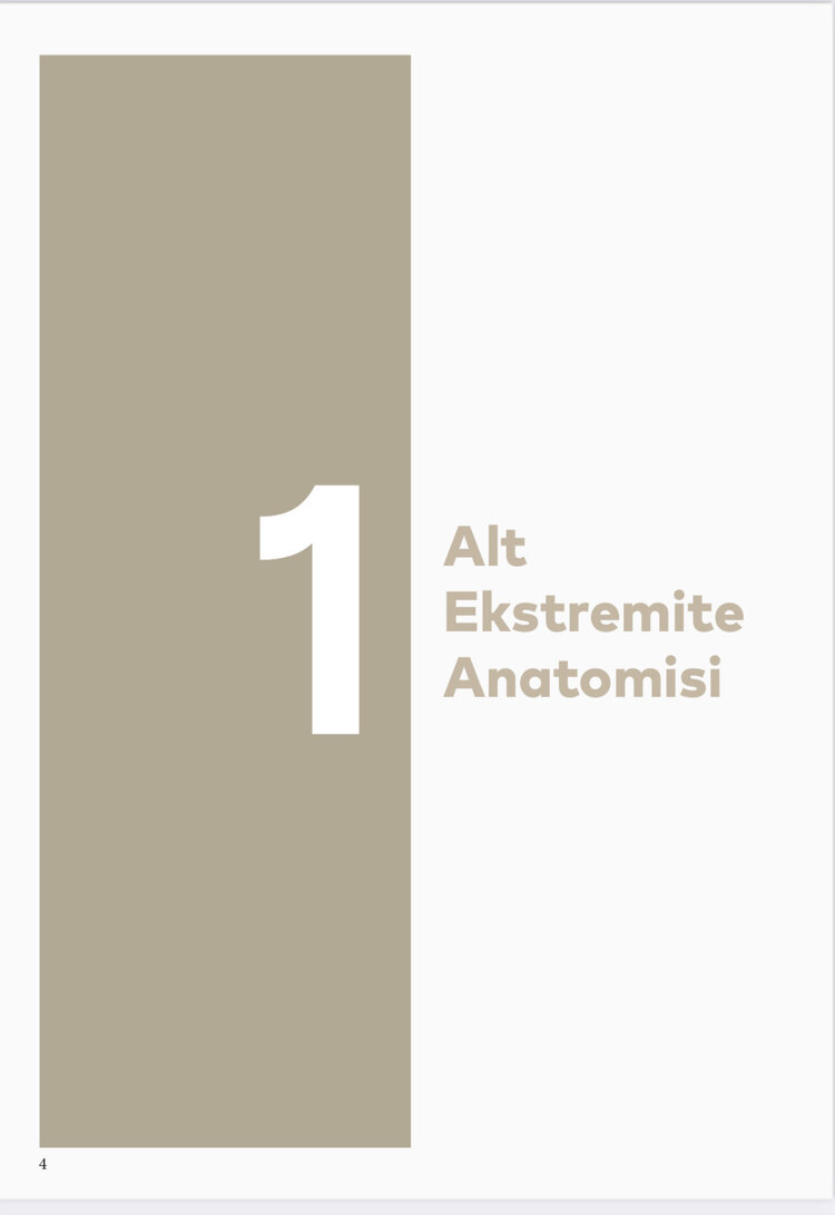 Diz ve Kalça Problemleri için Pilates: Alt Ekstremiteye Odaklanan E-Kitap Eğitim Detayları