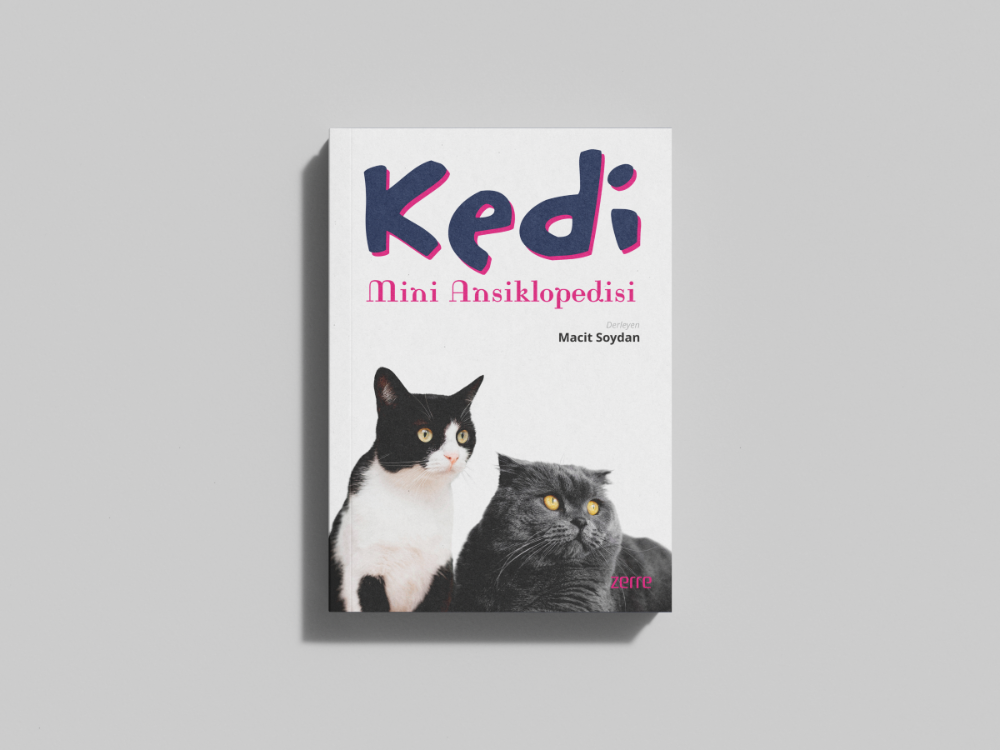 Kedi Mini Ansiklopedisi